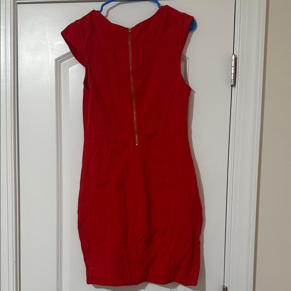 Express Scarlet Mini Dress - Picture 3 of 3